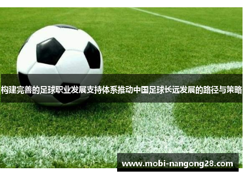 构建完善的足球职业发展支持体系推动中国足球长远发展的路径与策略