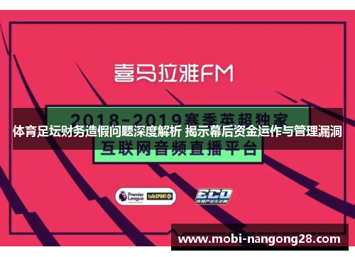 体育足坛财务造假问题深度解析 揭示幕后资金运作与管理漏洞