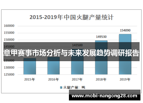 意甲赛事市场分析与未来发展趋势调研报告