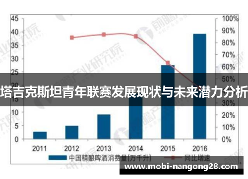 塔吉克斯坦青年联赛发展现状与未来潜力分析