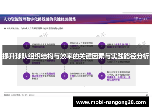 提升球队组织结构与效率的关键因素与实践路径分析