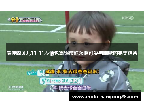 最佳森贝儿11-11表情包集锦带你领略可爱与幽默的完美结合