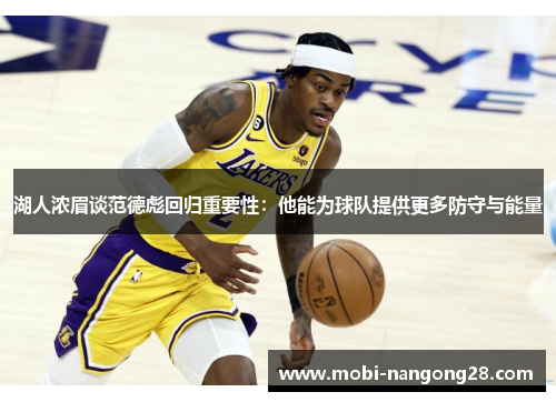 湖人浓眉谈范德彪回归重要性：他能为球队提供更多防守与能量