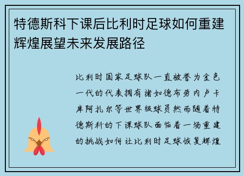 特德斯科下课后比利时足球如何重建辉煌展望未来发展路径