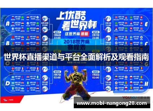 世界杯直播渠道与平台全面解析及观看指南