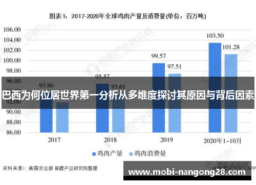 巴西为何位居世界第一分析从多维度探讨其原因与背后因素